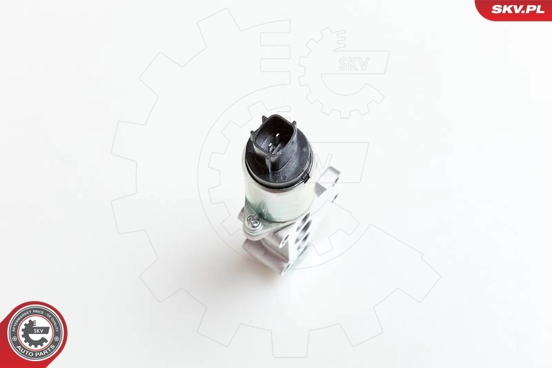 Regulator biegu jałowego Nissan Primera P10