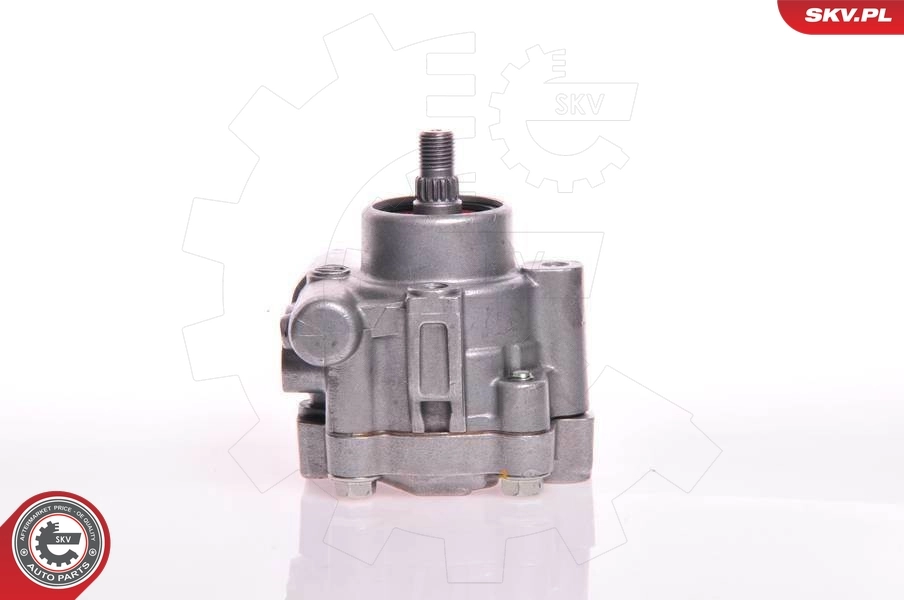 10SKV132 SKV