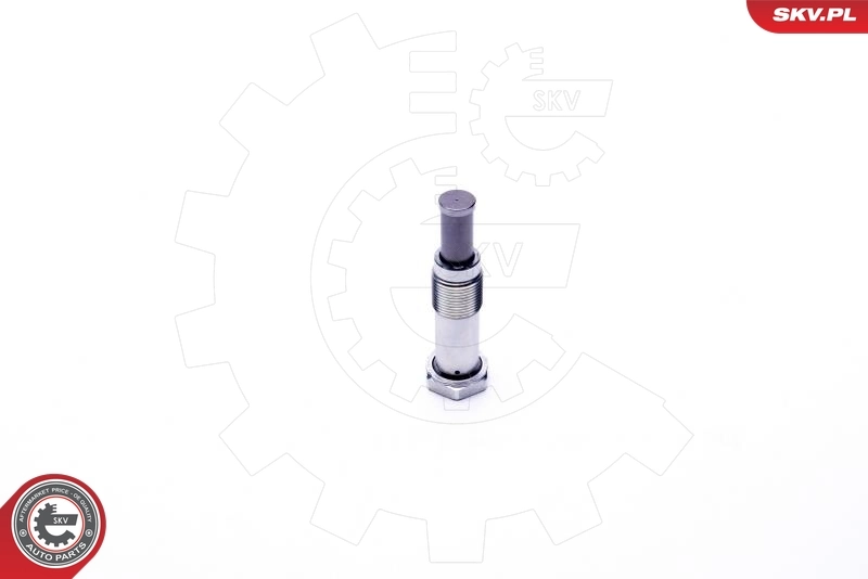 Napinacz łańcucha rozrządu VAG 11317567680 cena, od 33,73 USD