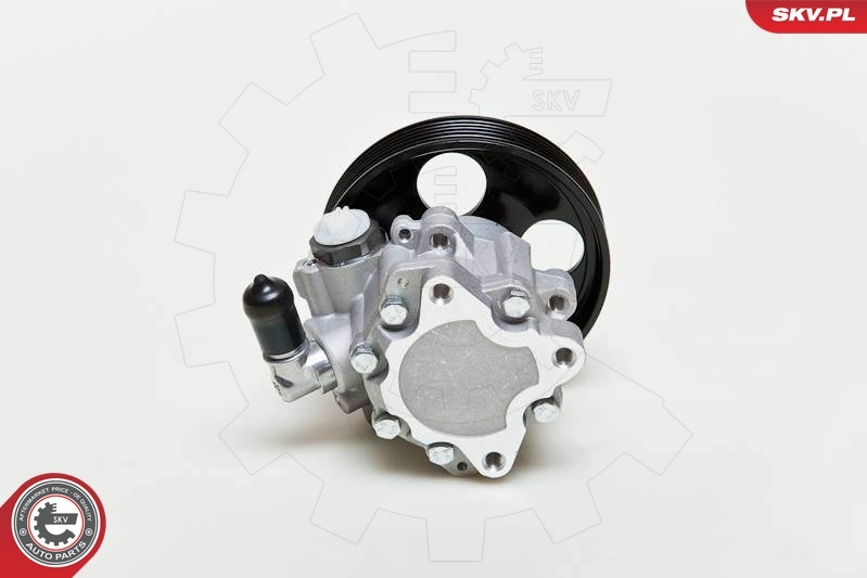  Pompa wspomagania hydraulicznego kierownicy Peugeot 406 