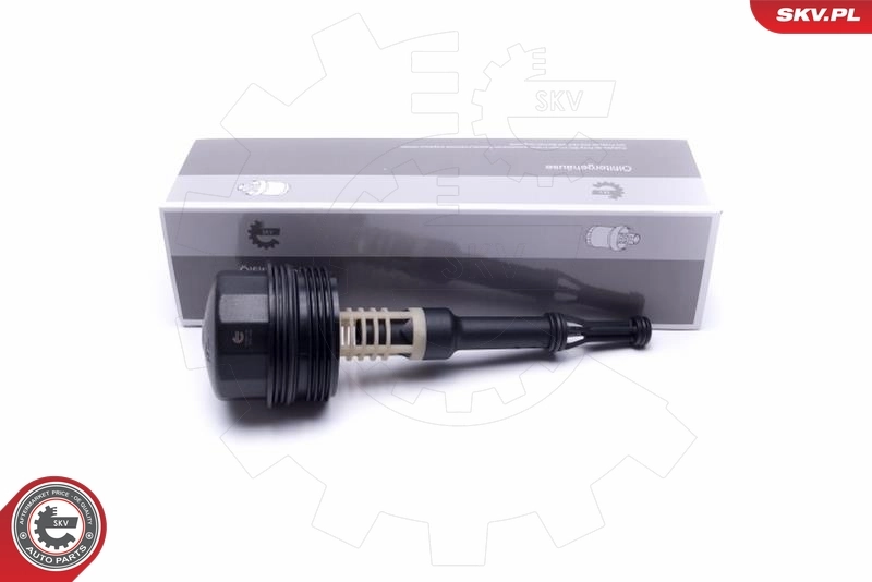 31SKV181 SKV
