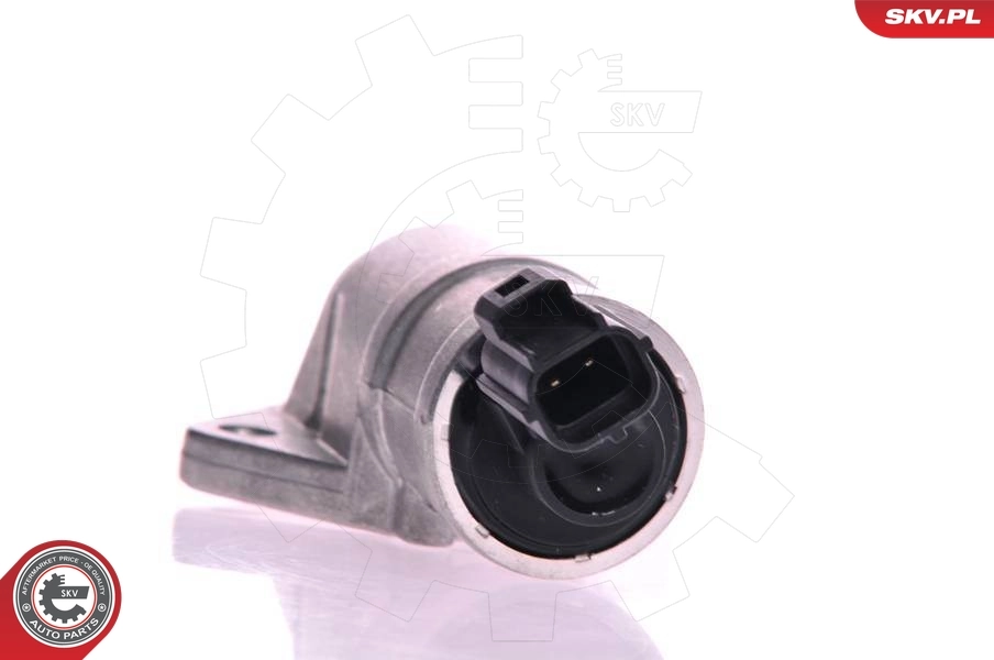 08SKV216 SKV