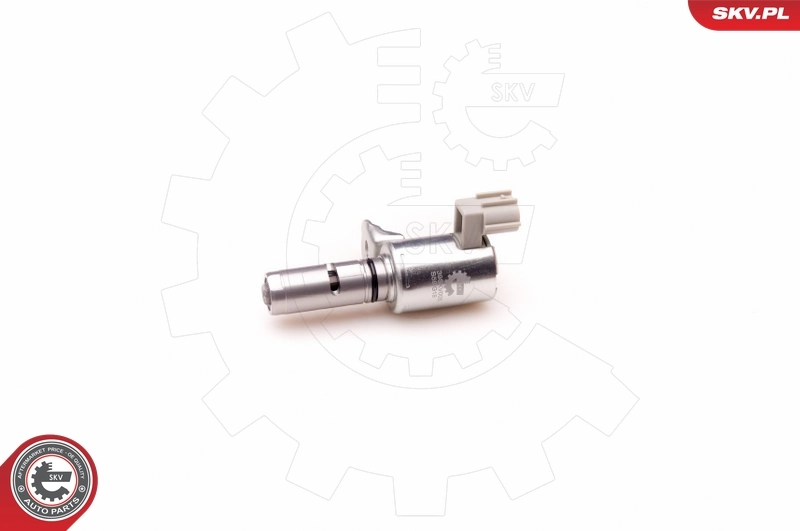 39SKV005 SKV