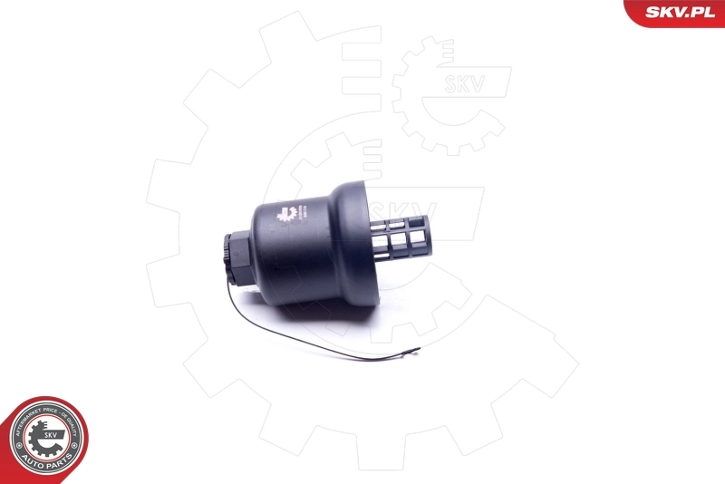 31SKV058 SKV