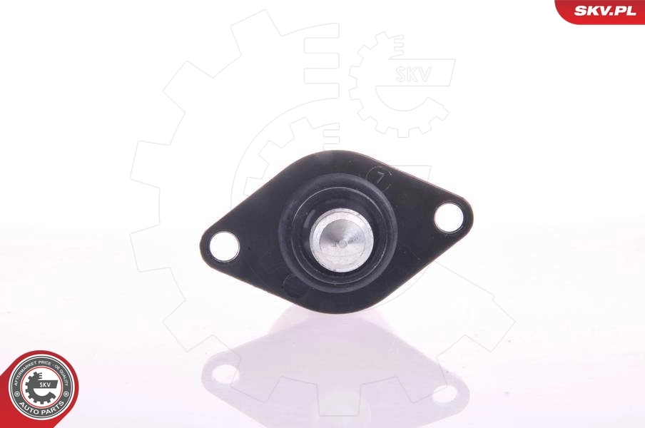 Regulator biegu jałowego SKV 08SKV040 cena, od 15,49 USD