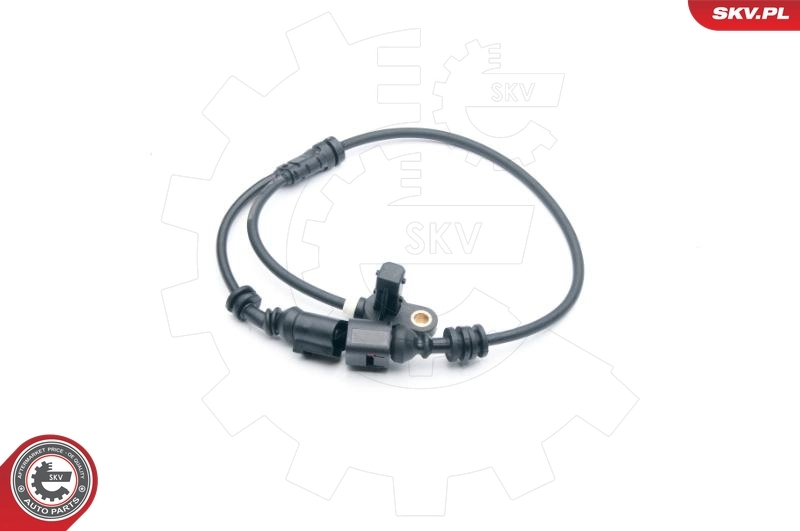 06SKV276 SKV