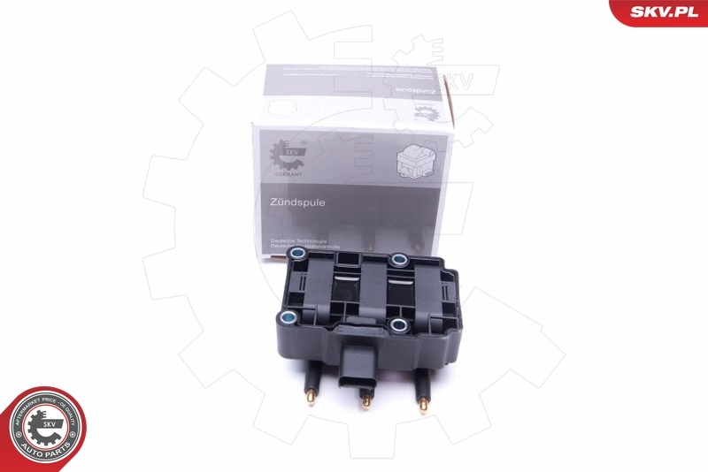 03SKV248 SKV