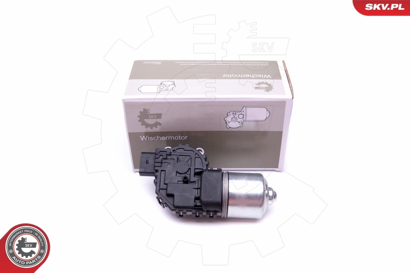 19SKV119 SKV