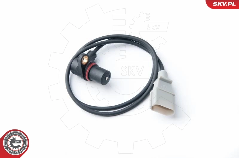 17SKV265 SKV