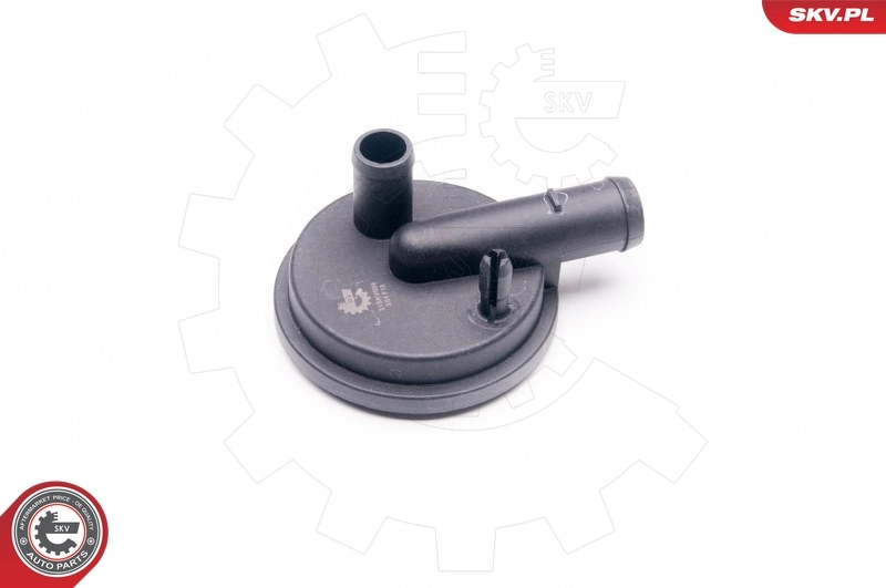 31SKV009 SKV