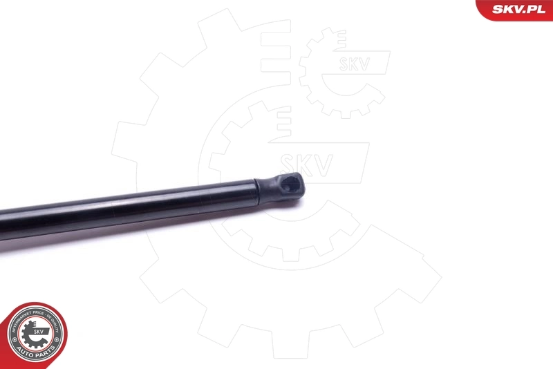 Amortyzator klapy bagażnika (3/5 drzwi-tylnych) Renault Megane III coupe (DZ0, DZ1) (2008 - 2016) cena, od 46,03 USD