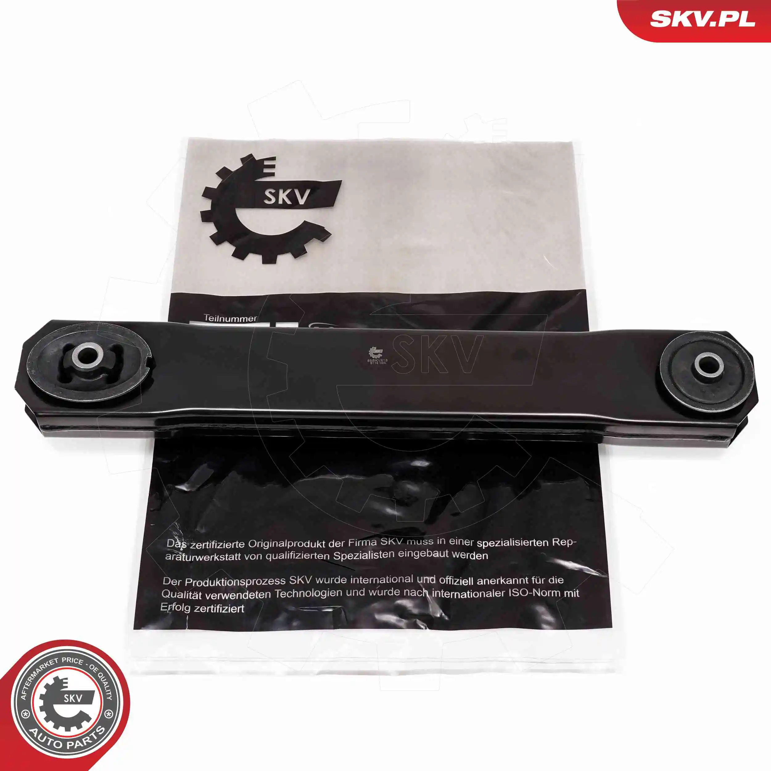 69SKV818 SKV