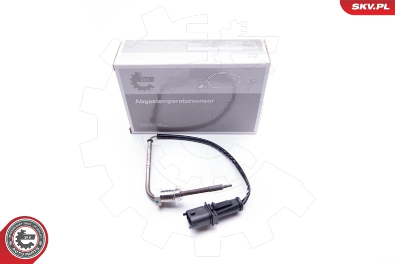 30SKV079 SKV