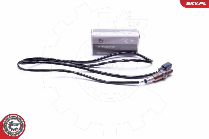 09SKV441 SKV