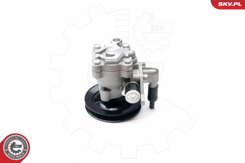 Pompa wspomagania hydraulicznego kierownicy Hyundai Coupe II coupe (GK) (2001 - 2006) cena, od 109,87 USD