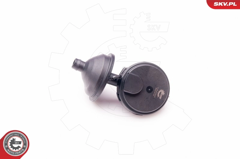 31SKV025 SKV