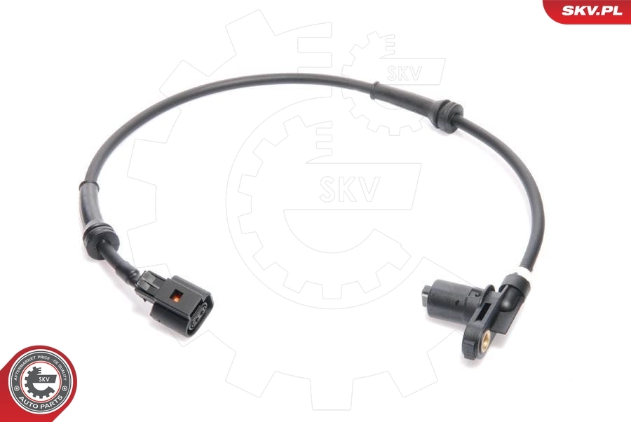 06SKV029 SKV