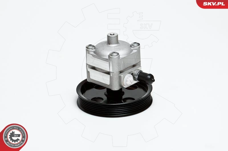 10SKV028 SKV