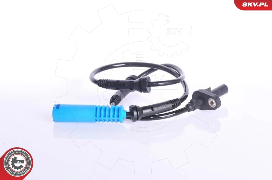 06SKV079 SKV