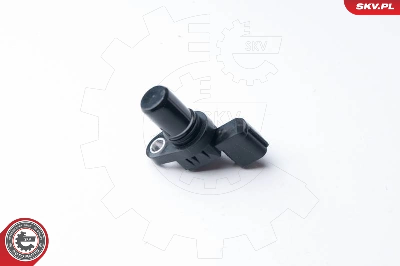 17SKV256 SKV