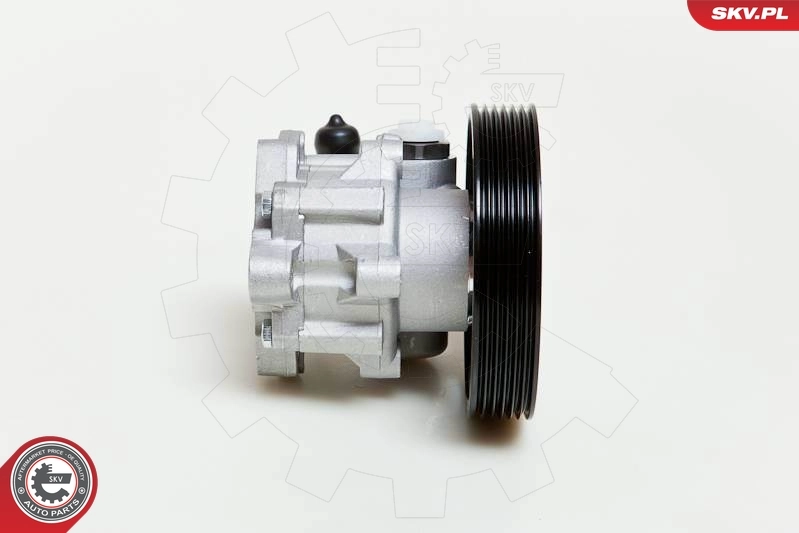 Do koszyka Pompa wspomagania hydraulicznego kierownicy Peugeot 406  8C