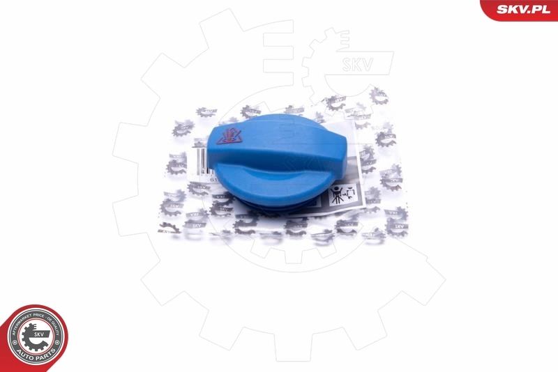 61SKV012 SKV