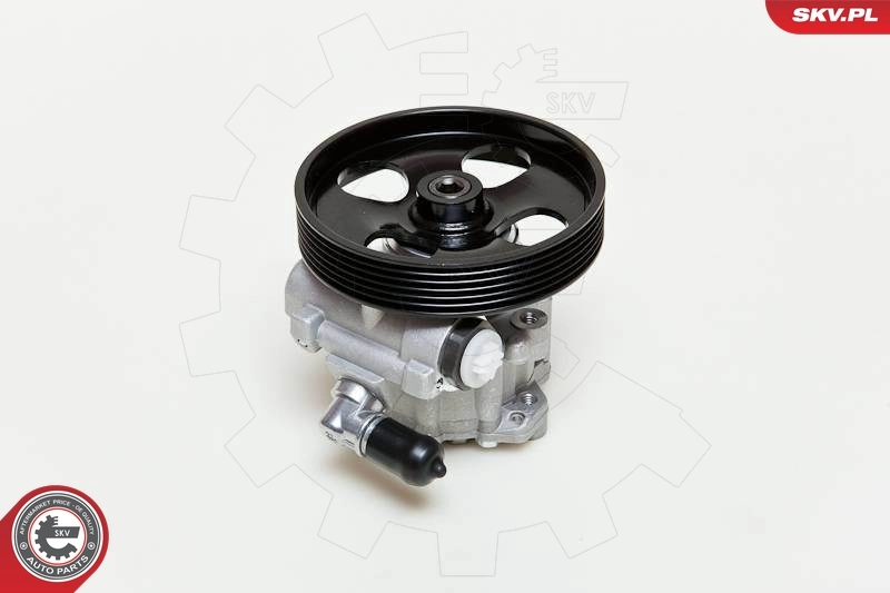 Pompa wspomagania hydraulicznego kierownicy do Peugeot 406  8C