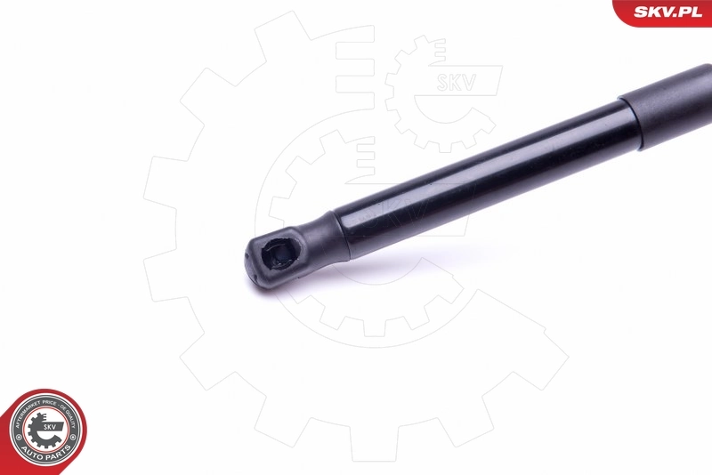 Amortyzator maski Audi TT coupe (8N3) (1998 - 2006) cena, od 42,77 USD