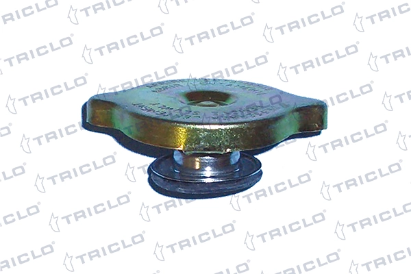  Pokrywa (korek) zbiornika wyrównawczego Fiat Ducato 2