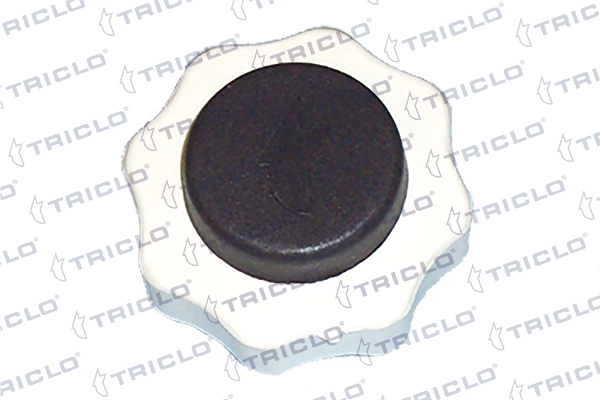 315391 Triclo