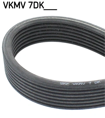 VKMV7DK1697 SKF