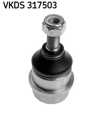 VKDS317503 SKF