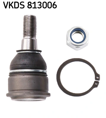 VKDS813006 SKF