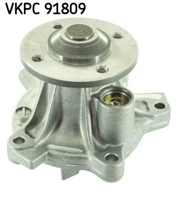 VKPC91809 SKF