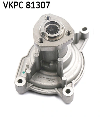 VKPC81307 SKF