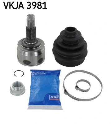 VKJA3981 SKF