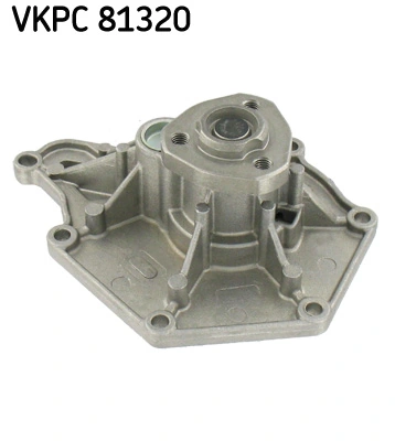 VKPC81320 SKF