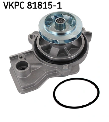 VKPC818151 SKF