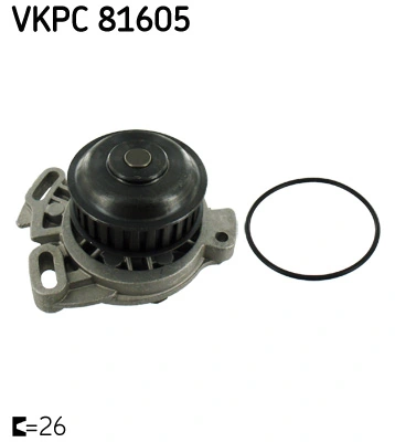 VKPC81605 SKF