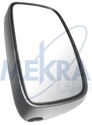 Lusterko wszteczne 1812862 DAF