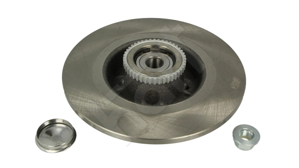 Tarcza hamulcowa tylna Renault Scenic I minivan (JA0, JA1, FA0) (1999 - 2003) cena, od 55,85 USD