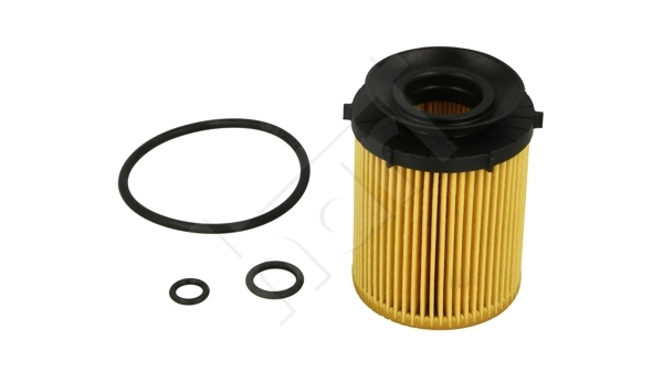 Do koszyka 15208HG00D VAG Filtr oleju