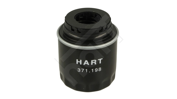 371198 Hart