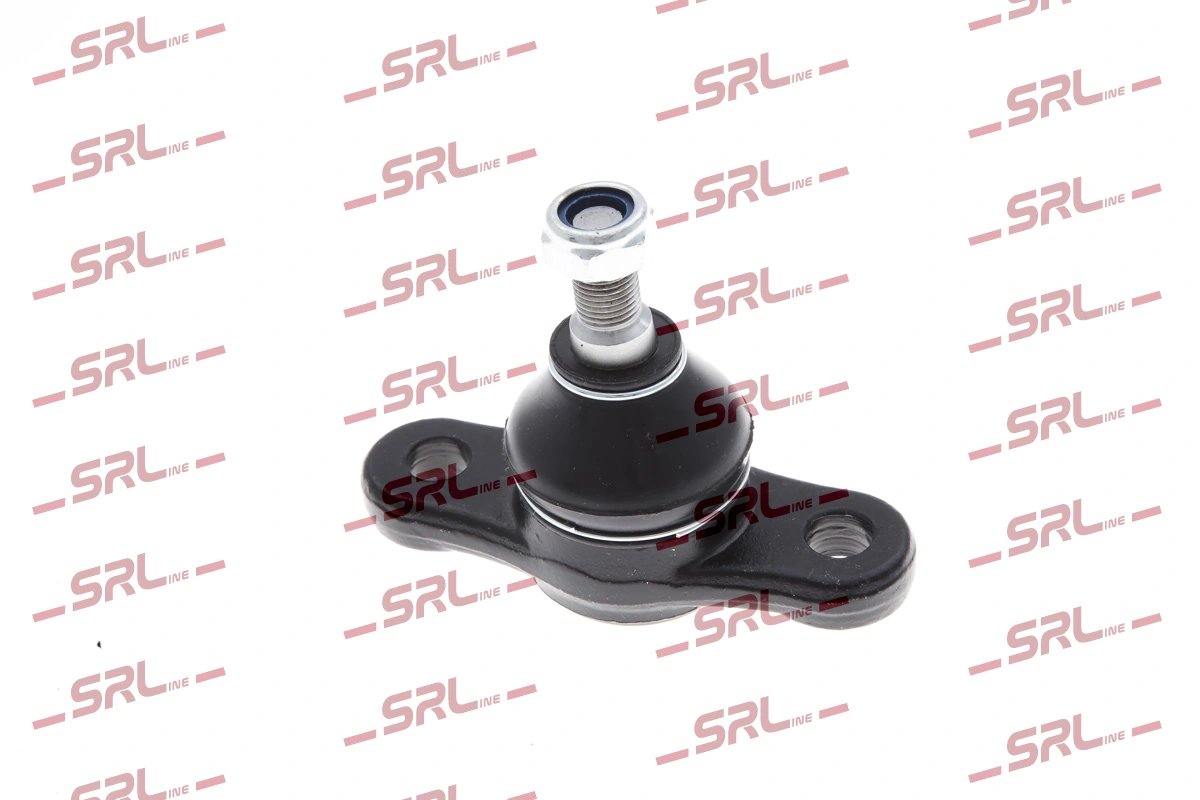 S6040513 Polcar