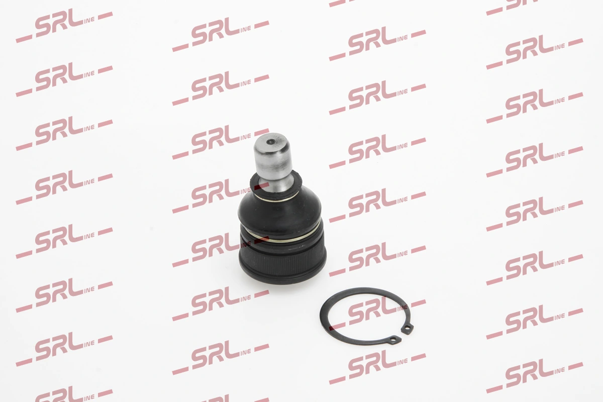 S6045506 Polcar