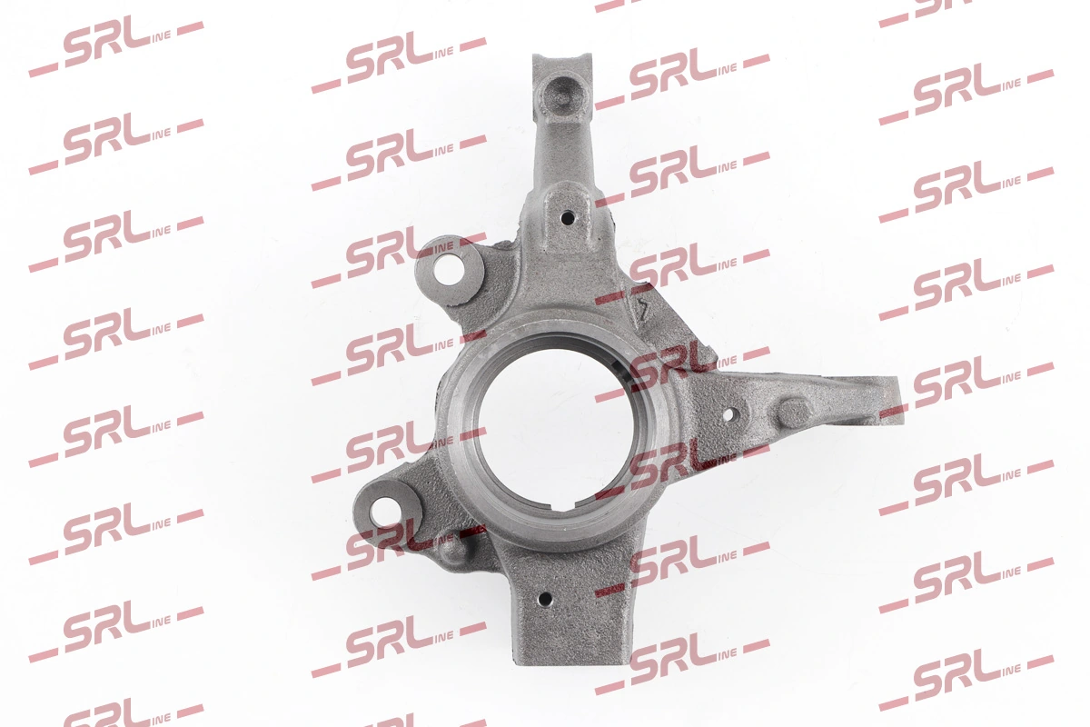 Do koszyka 400155389R Nissan/Infiniti Czop (zwrotnica) przedni lewy