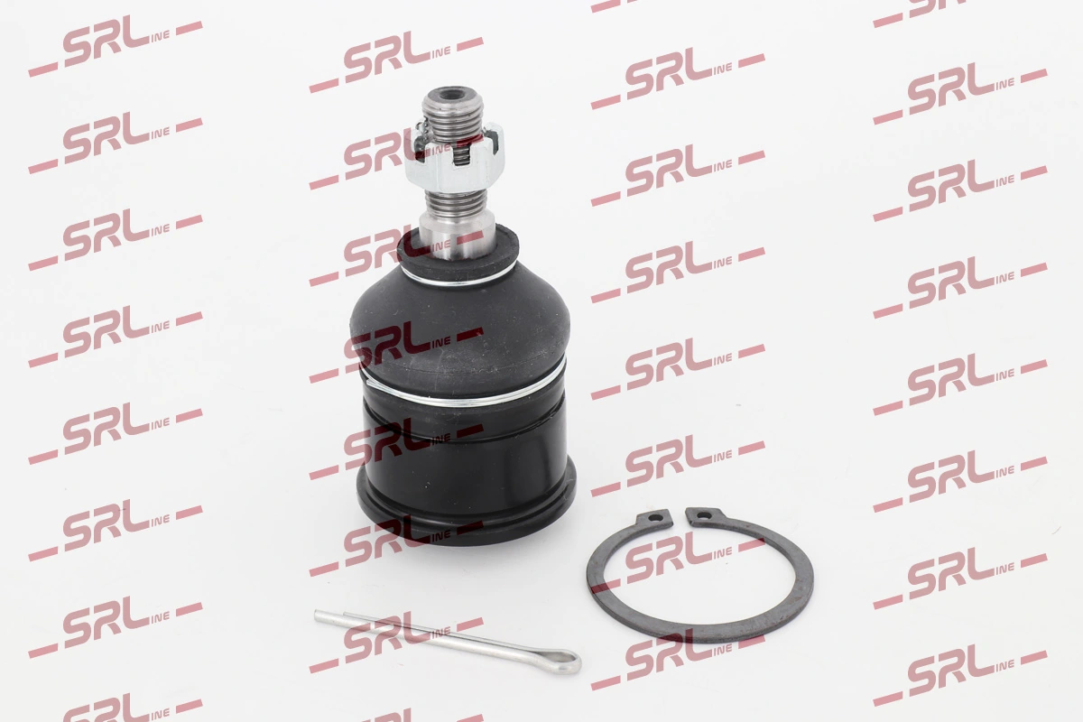 S6038500 Polcar