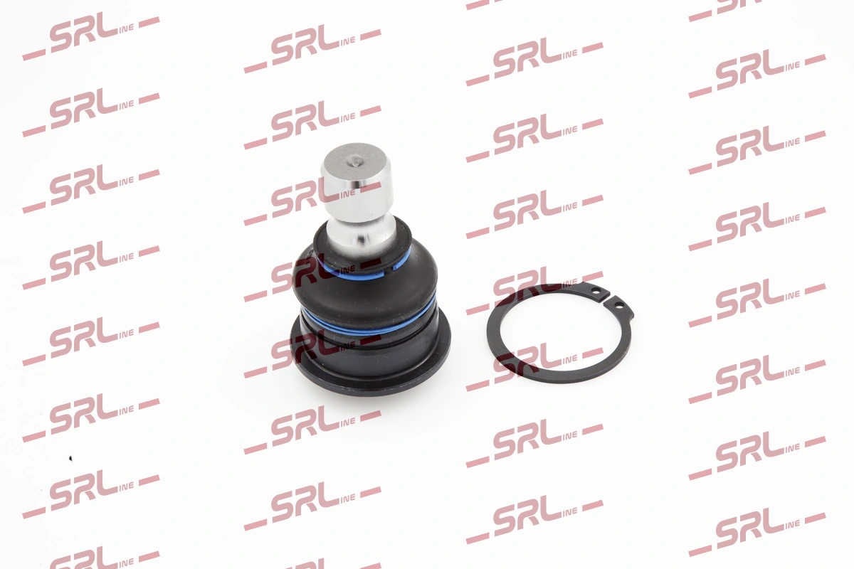 S6027513 Polcar
