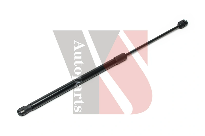 Amortyzator klapy bagażnika (3/5 drzwi-tylnych) Mercedes C kombi (S203) (2001 - 2007) cena, od 16,13 USD