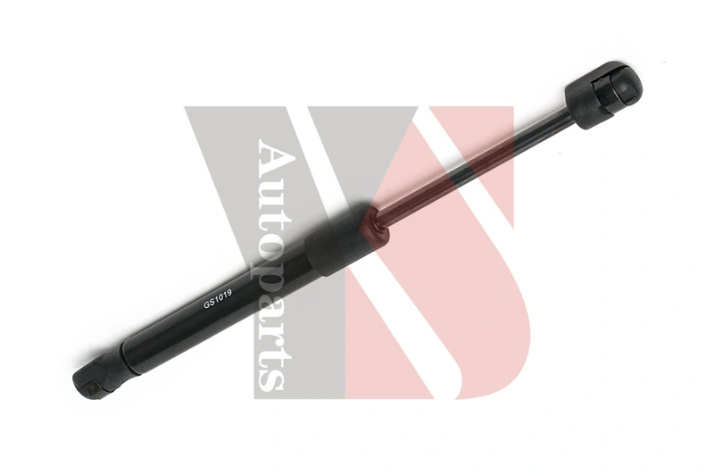 YSGS1019 YS